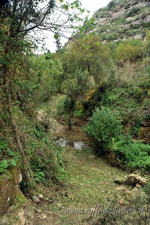 CENSIMENTO CAVA CAROSELLO 31.10.2010 (272).jpg